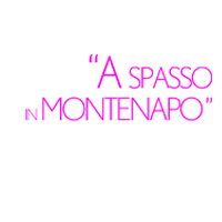 viaMontenapoleone